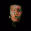 Lanterns On The Lake - Versions of us (CD) - Discords.nl