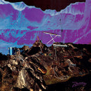 Late Of The Pier - Fantasy black channel (LP) - Discords.nl