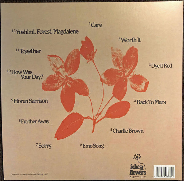 beabadoobee - Fake It Flowers (LP) - Discords.nl