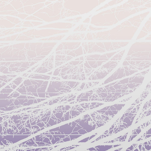 Lea Bertucci - Metal aether (12-inch) - Discords.nl