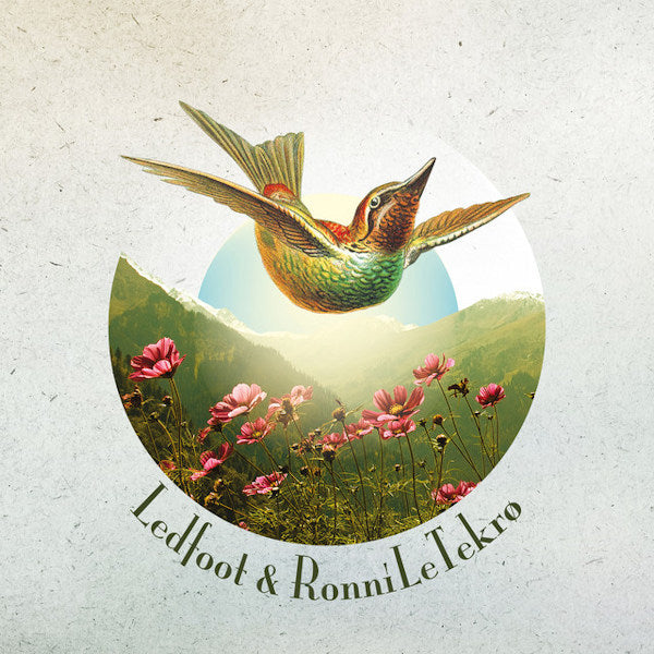 Ledfoot & Ronni Le Tekro - Ledfoot & ronni le tekro (CD) - Discords.nl