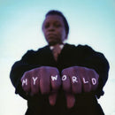 Lee Fields & The Expressions - My world (LP) - Discords.nl