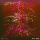 Leifur James - Magic seeds (LP) - Discords.nl