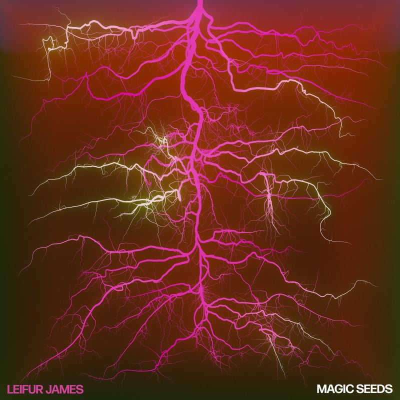 Leifur James - Magic seeds (LP) - Discords.nl