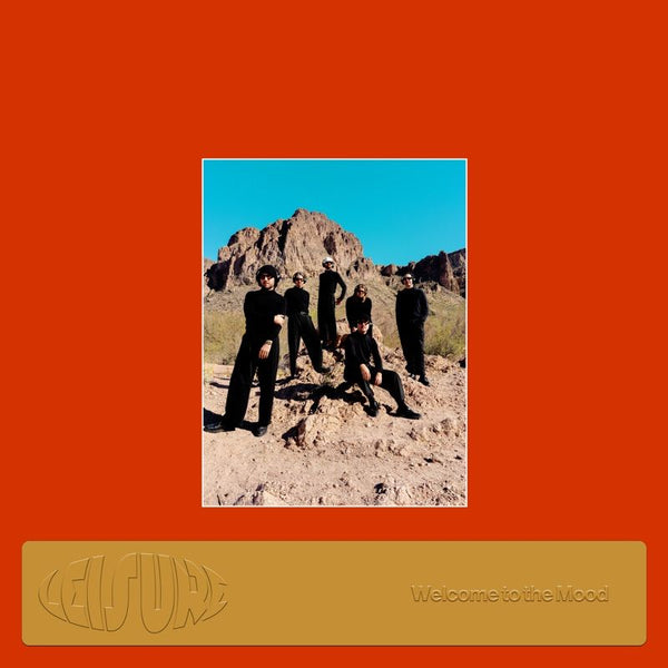 Leisure - Welcome to the mood (LP) - Discords.nl