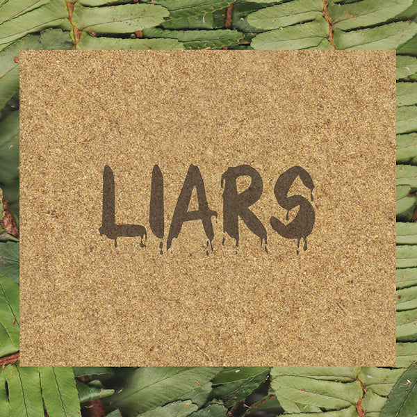 Liars - Tfcf (LP) - Discords.nl