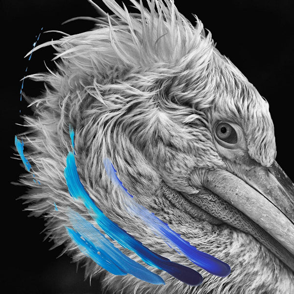 LIES - LIES (LP) - Discords.nl