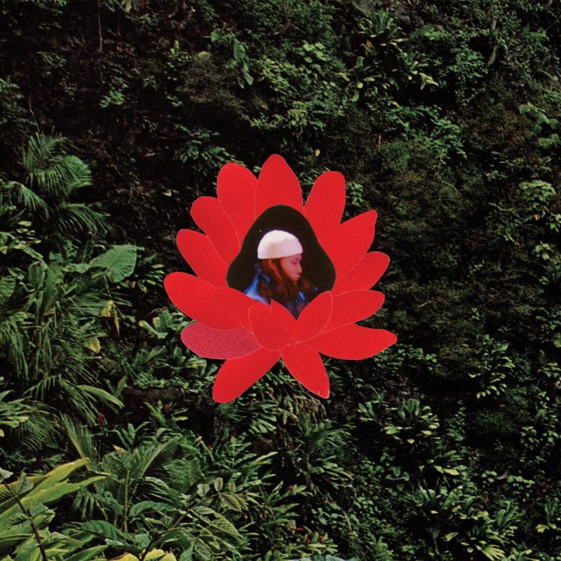 Lionmilk - When the flowers bloom (LP)