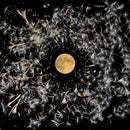 Lisa O'Neill - All of this is chance (CD) - Discords.nl