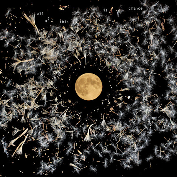 Lisa O'Neill - All of this is chance (LP) - Discords.nl