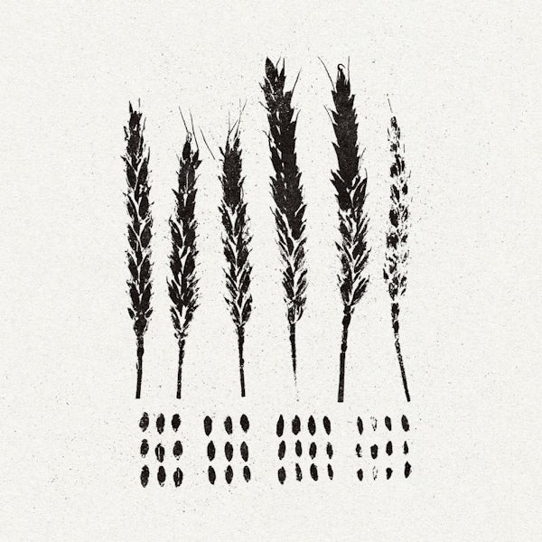 Lo! - The gleaners (CD) - Discords.nl