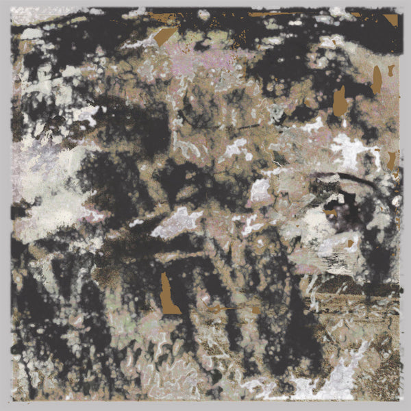 Loraine James - Building something beautiful for me (LP) - Discords.nl