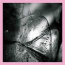 Loscil - Clara (CD) - Discords.nl