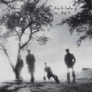 Josef K - Sorry for laughing (LP)