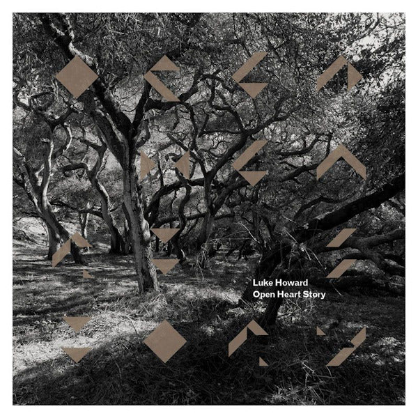 Luke Howard - Open heart story (CD) - Discords.nl