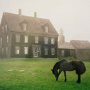 Lutalo - The academy (meadow green) (LP)