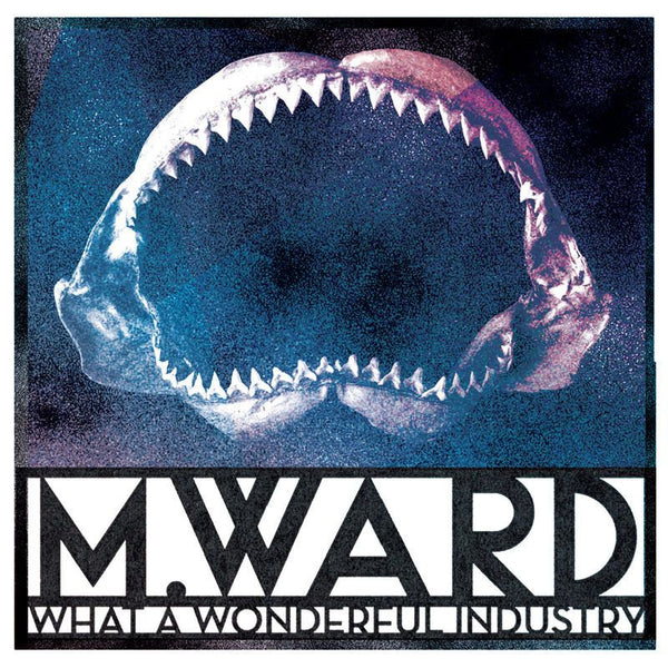 M. Ward - What a wonderfull industry (CD) - Discords.nl