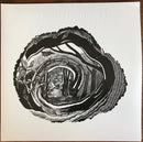 Big Big Train - Woodcut (LP)