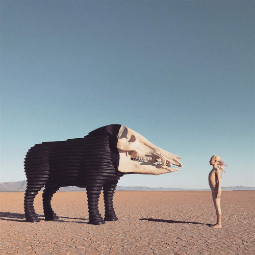 Man Man - Dreaming hunting in the valley of the in-between (LP) - Discords.nl