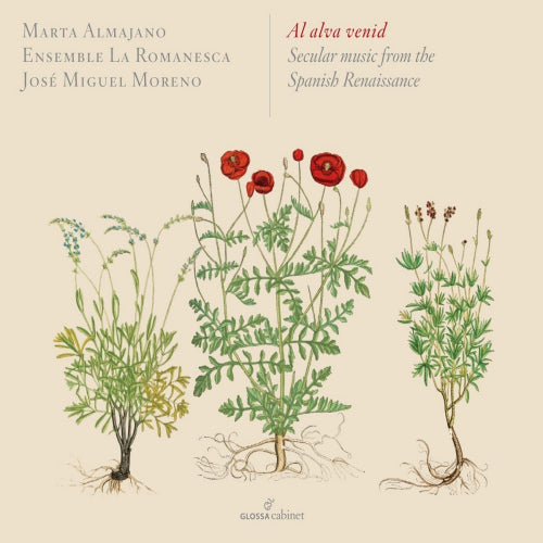 Marta Almajano - Al alva venid: secular music from the spanish renaissan (CD) - Discords.nl