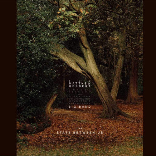 Matthew Herbert =big Band= - State between us (LP) - Discords.nl