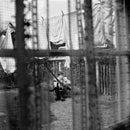 Paul McCartney - Chaos and creation in the backyard (LP) - Discords.nl