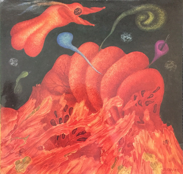 Arik Brauer - Arik Brauer (LP Tweedehands)