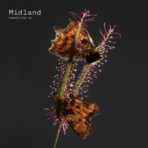Midland - Fabriclive 94 midland (CD) - Discords.nl
