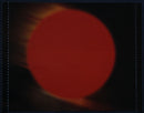 Frank Sinatra - Sinatra In Japan - Concert April 26 - 1985, Budokan, Tokyo (CD Tweedehands) - Discords.nl