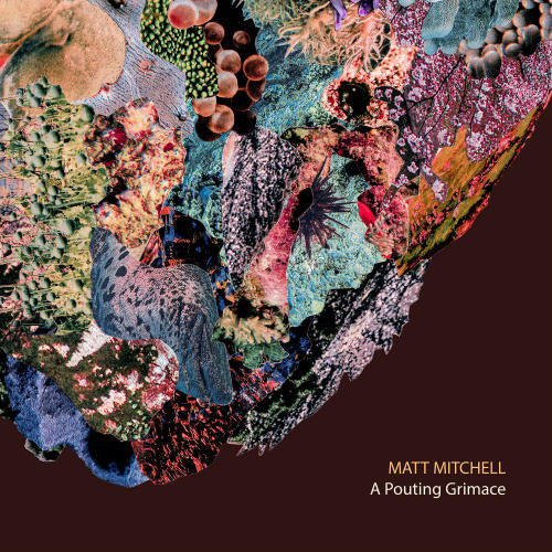 Matt Mitchell - A pouting grimace (CD) - Discords.nl