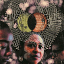 Nicole Mitchell - Mandorla awakening ii: emerging worlds (CD) - Discords.nl