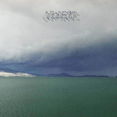 Modest Mouse - Fruit that ate itself (LP) - Discords.nl