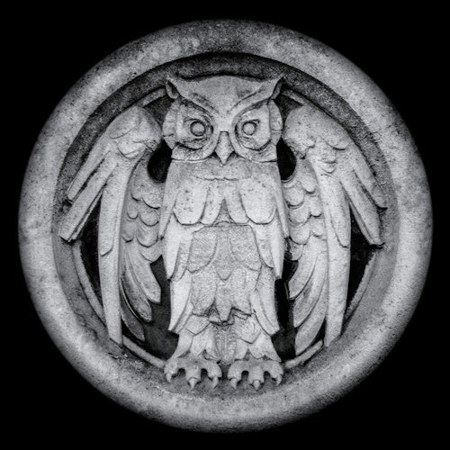 Monarchy - Abnocto (LP) - Discords.nl