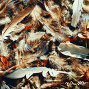 Moodie Black - Nausea (CD) - Discords.nl