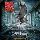 Mr. Big - Defying gravity (CD) - Discords.nl