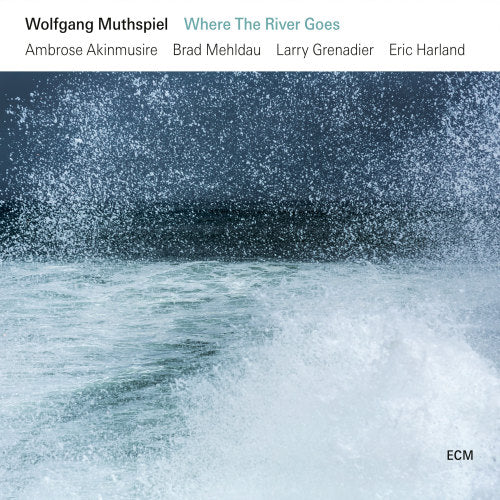 Wolfgang Muthspiel - Where the river goes (CD) - Discords.nl