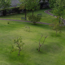 Mabe Fratti - Pies sobre la tierra (LP) - Discords.nl