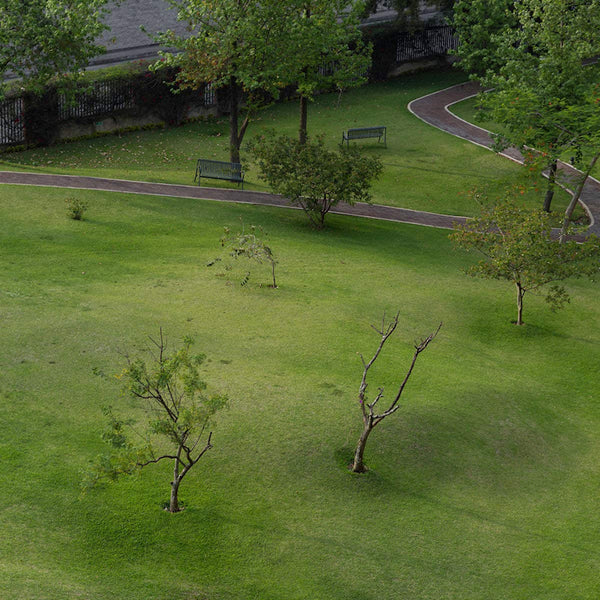 Mabe Fratti - Pies sobre la tierra (LP) - Discords.nl