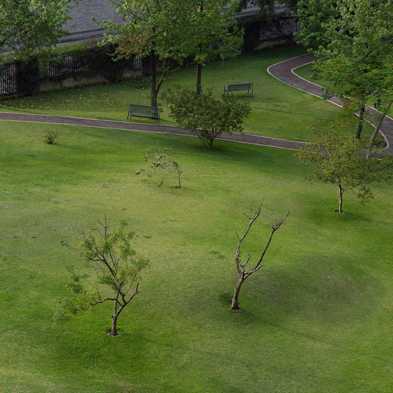 Mabe Fratti - Pies sobre la tierra (LP) - Discords.nl