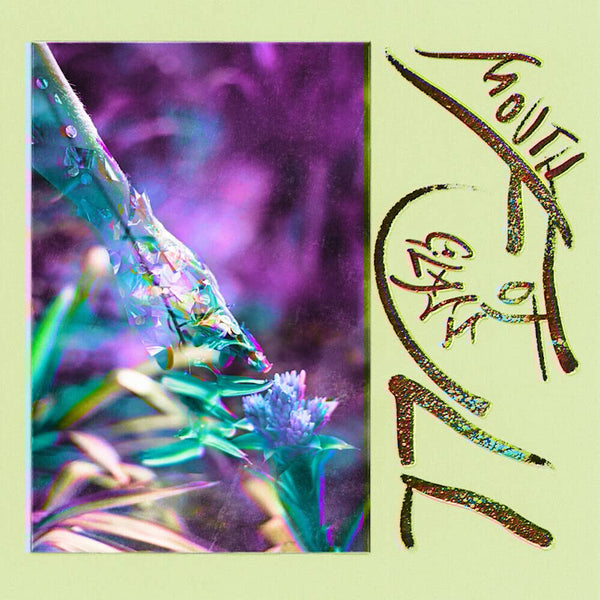 Macie Stewart - Mouth full of glass (LP) - Discords.nl