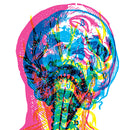 Mandy, Indiana - URGH (LP) - Discords.nl