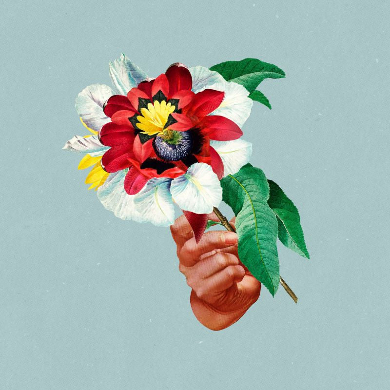 Maribou State - Kingdoms In Colour  (LP)
