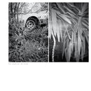 Mark Templeton - Two verses (LP) - Discords.nl