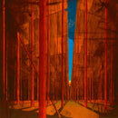 Martin Kohlstedt - Flur (CD) - Discords.nl