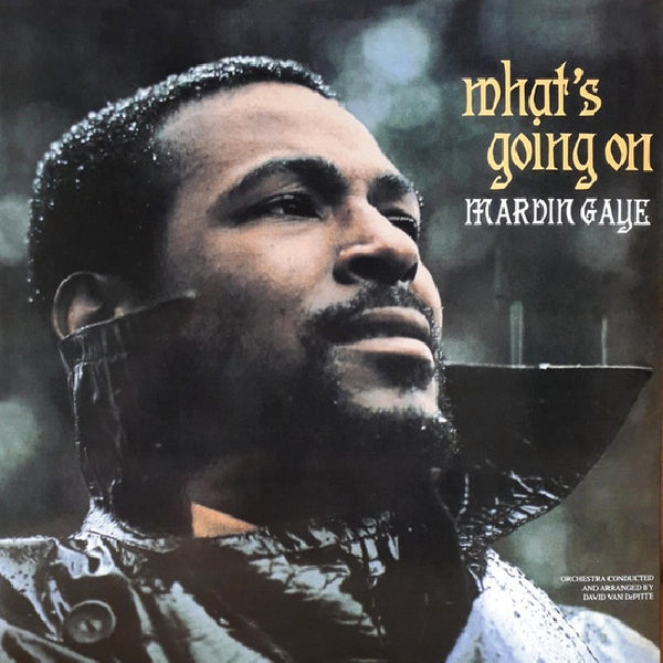 Marvin Gaye - What's Going On (LP)