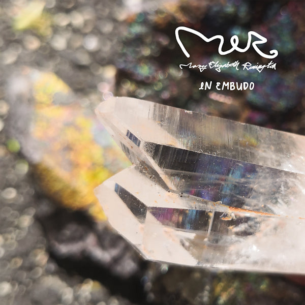 Mary Elizabeth Remington - In embudo (LP) - Discords.nl