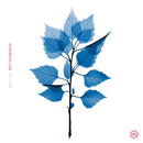 Matt Berninger - Get sunk (LP) - Discords.nl