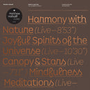 Matthew Halsall - Salute to the sun: live at halle st. peter's (LP) - Discords.nl