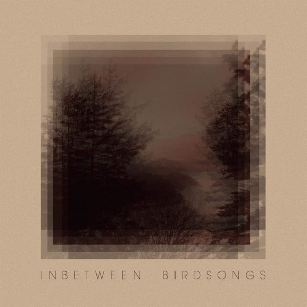 Matthias Gusset - Inbetween birdsongs (CD) - Discords.nl