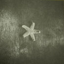 Church, The - Starfish (LP)